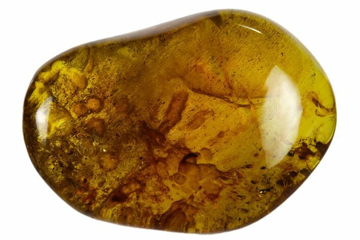 Polished Chiapas Amber ( g) - Mexico #114970